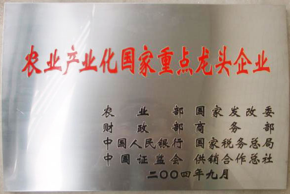 立足過去、放眼未來，白象食品二十三歲生日快樂
